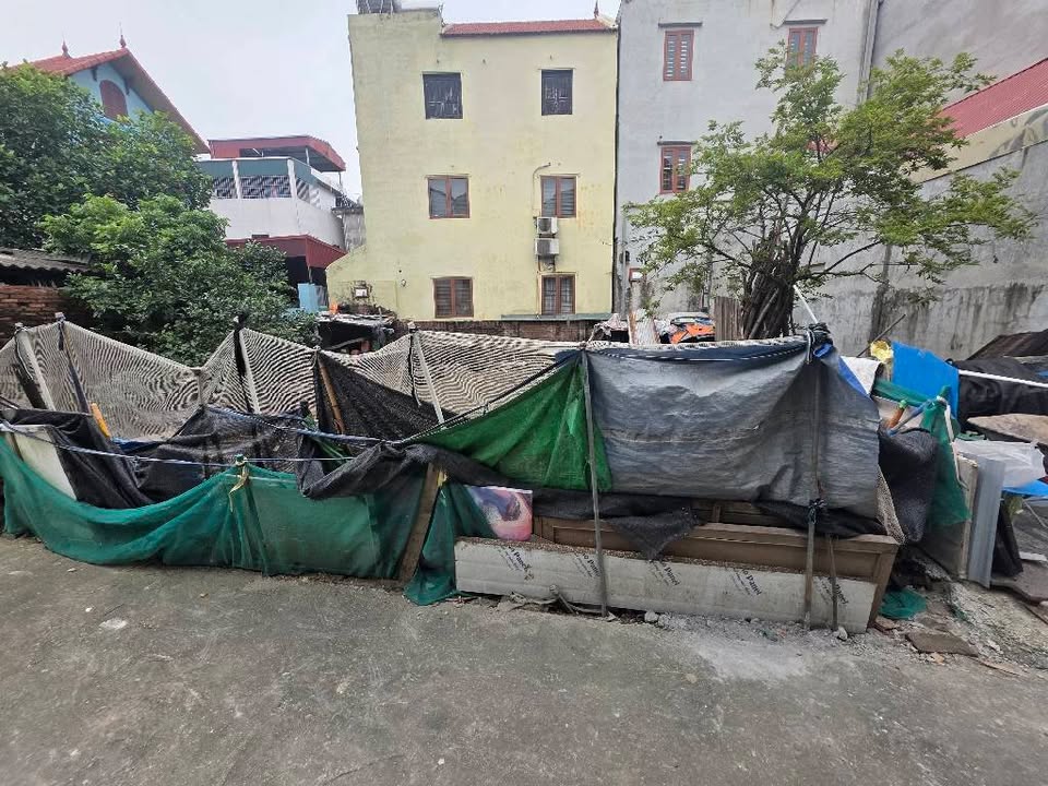 Đất nền Phù Đổng, Gia Lâm 60m² giá 4.45 tỷ - Tiềm năng tăng giá mạnh!