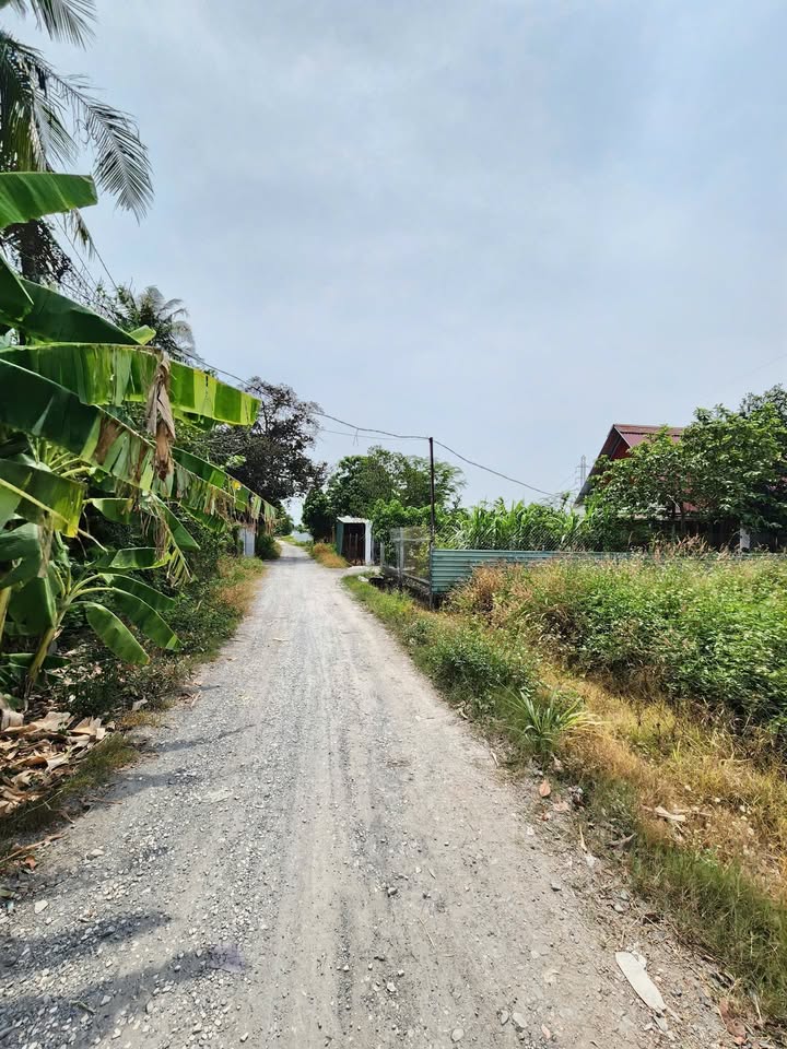 Đất nền Tân Bình Dĩ An 182.5m² giá 2.95 tỷ - Xây dựng tự do, vị trí đẹp!