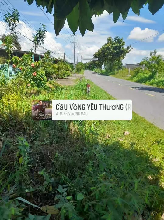 Đất mặt tiền ấp 17, xã Long Hữu, Duyên Hải, 588m² giá 5.88 tỷ - Đầu tư sinh lời ngay!