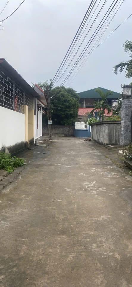 Đất rộng 130m² tại Hiệp Lực, Ninh Giang - Giá rẻ bất ngờ chỉ vài trăm triệu!