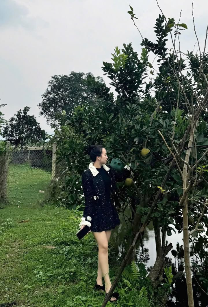 Đất thổ cư 250m² tại xã Hương Cần, giá 4 tỷ - Sổ đỏ chính chủ, sang tên nhanh chóng!