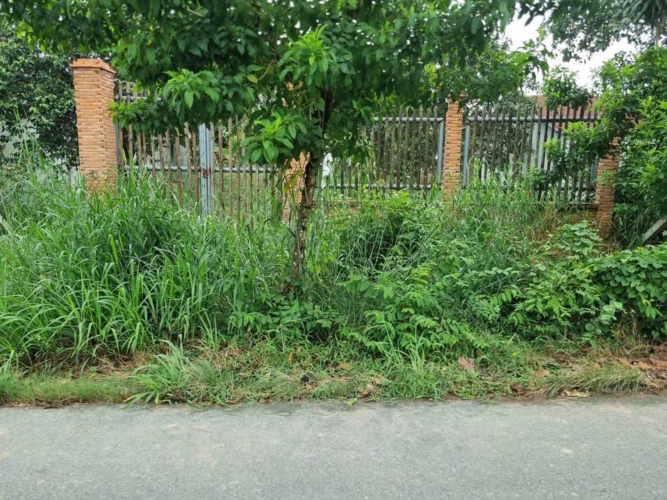 Đất thổ cư 894m² mặt tiền Nguyễn Thị Chiếu, xã An Nhơn Tây - Giá chỉ 3.7 tỷ!