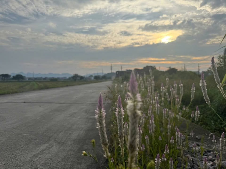 Đất nền Hợp Tiến, Mỹ Đức, 70m², giá 2.15 tỷ - Đầu tư sinh lời ngay hôm nay!