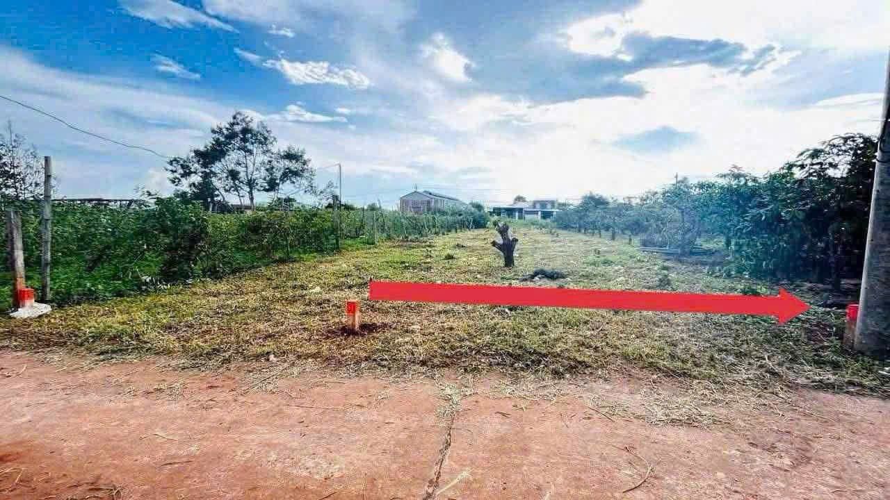 Đất nền Biển Hồ 300m² giá 700 triệu - Sổ hồng chính chủ, đầu tư sinh lời!