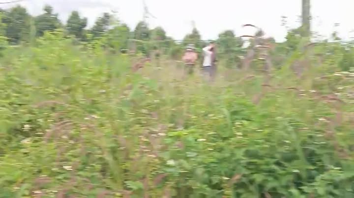 Đất nền mặt đường tỉnh lộ 675, xã Ia Me, 4500m² giá 2.1 tỷ - Cơ hội đầu tư hiếm có!