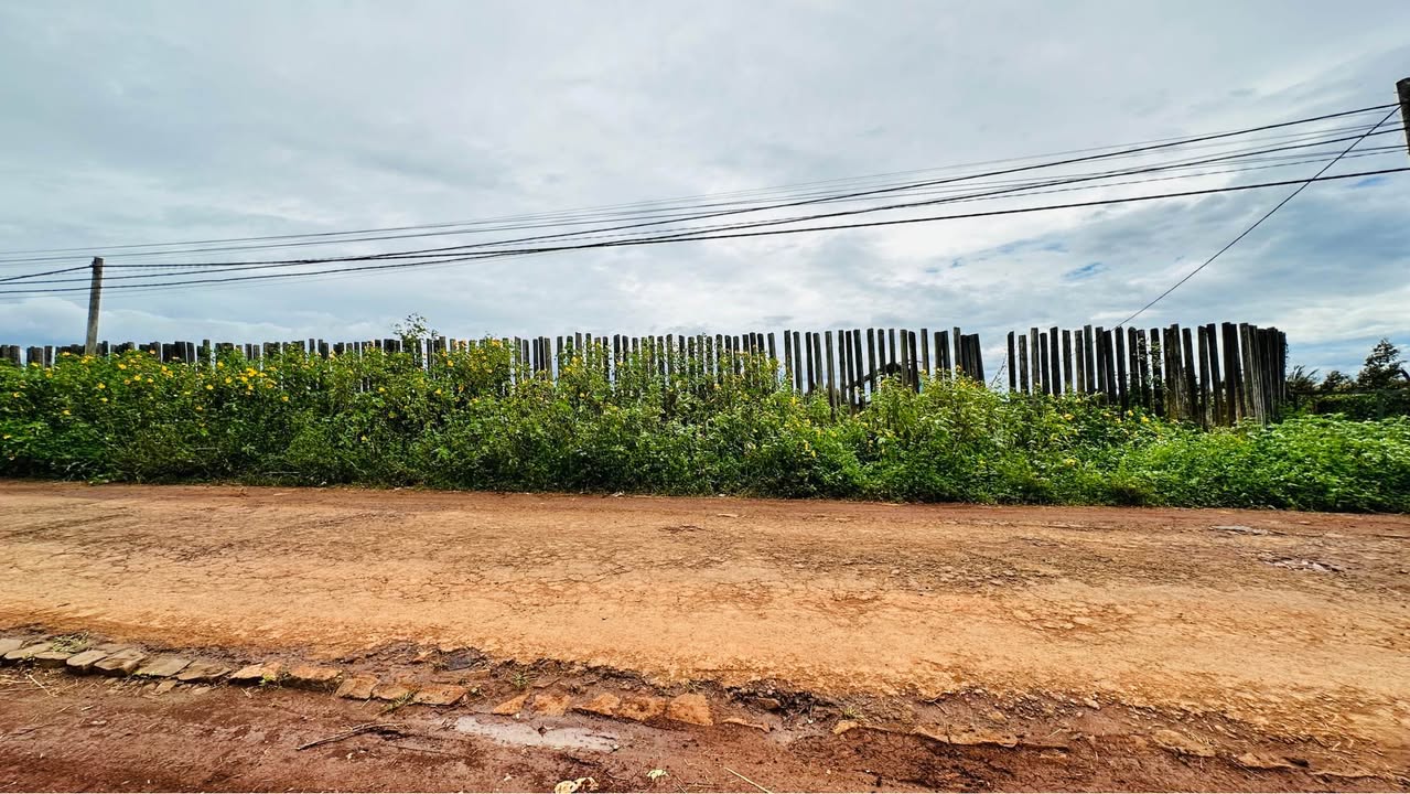 Đất Farm 1.1ha xã Ia Tiêm, Chư Sê, Gia Lai - Gần trung tâm, giá thỏa thuận!