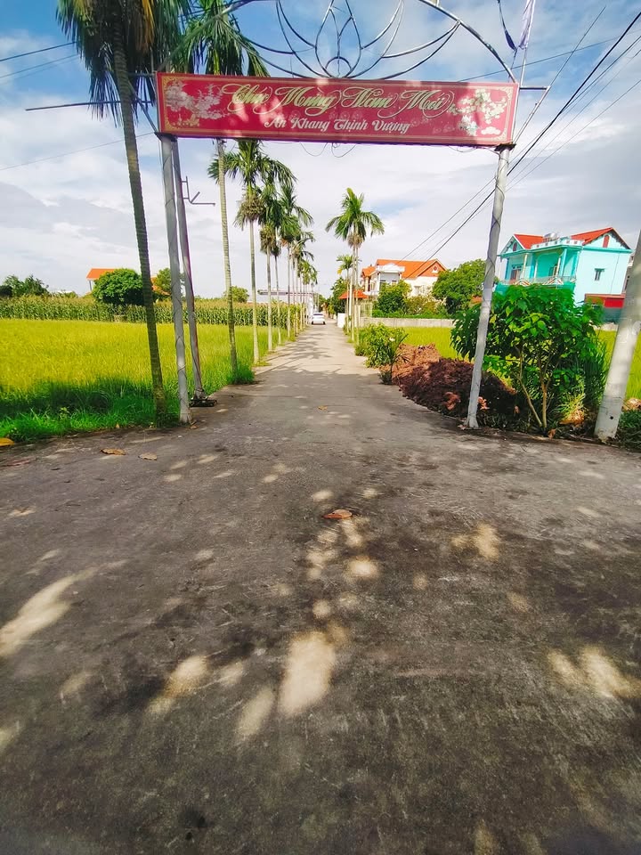 Lô đất 183.5m² tại Xuân Đài, Xuân Trường giá 1.1 tỷ - Đầu tư sinh lời ngay!