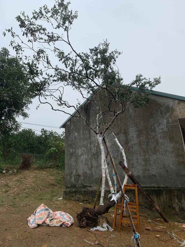 Đất nền Thống Nhất, Lạc Thủy 1360,6m² giá 1 tỷ - Cơ hội đầu tư hấp dẫn!