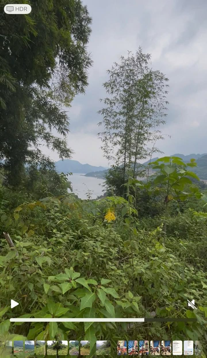 Đất nền Hiền Lương Đà Bắc 4200m² - Tiềm năng lớn cho đầu tư!