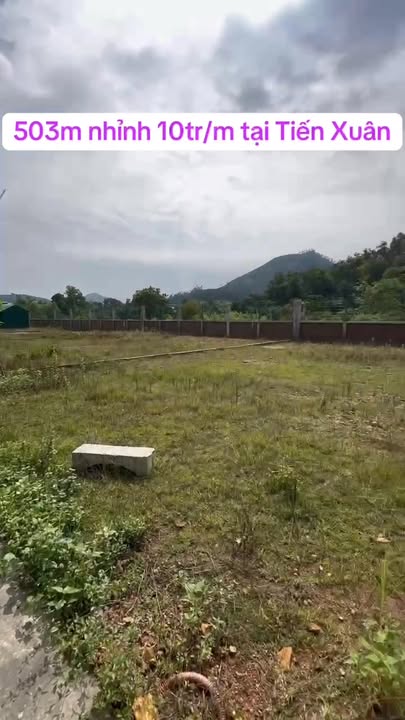 Đất nền 503m² tại Tiến Xuân, Thạch Thất chỉ 5 tỷ - Gần metro, cao tốc, ĐHQG!