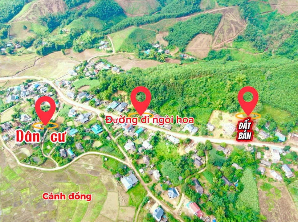 Đất nền Suối Hoa Tân Lạc 207m² giá 700 triệu - Cơ hội đầu tư không thể bỏ lỡ!