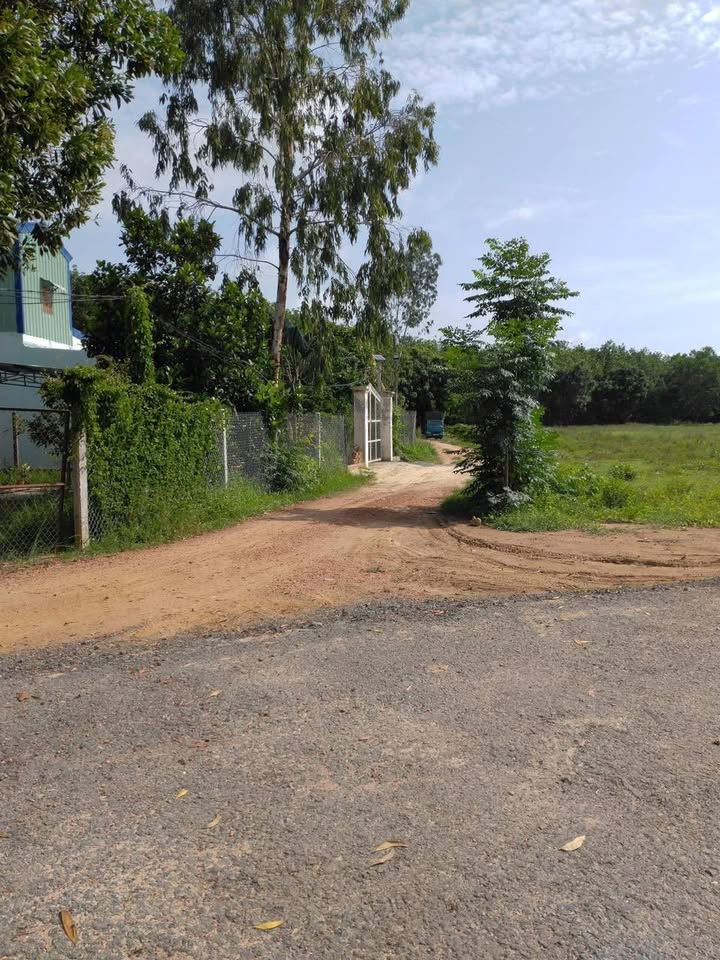 Đất nền khu phố 1, Tân Biên, 240m² giá 240 triệu - Sổ hồng chính chủ sẵn sàng!