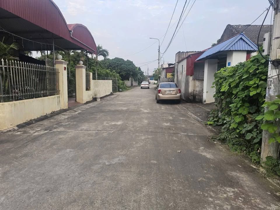 Đất nền Trần Cao, Phù Cừ 552m² - Cơ hội đầu tư giá tốt!