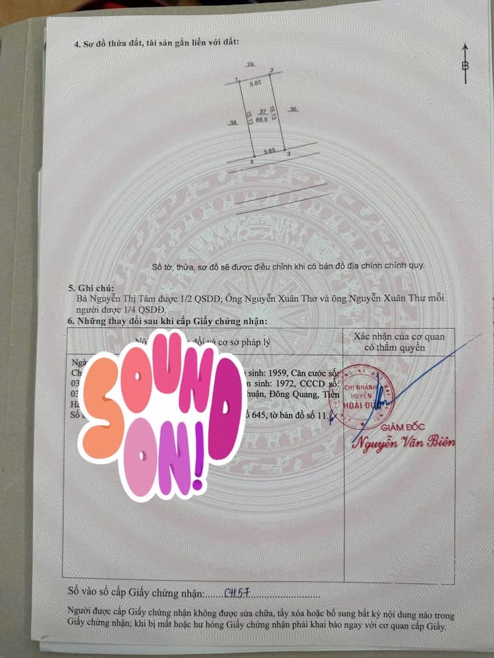 Đất nền Khu dịch vụ 12.5ha An Khánh 88.5m² - Mặt tiền rộng, thuận tiện kinh doanh