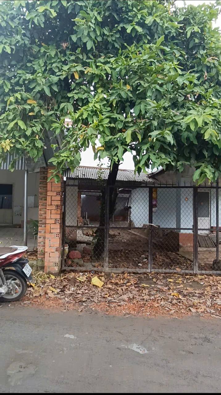 Đất thổ cư Bàu Năng, Dương Minh Châu 72m² giá 530 triệu - Vị trí đẹp gần Chùa Tòa Thánh!