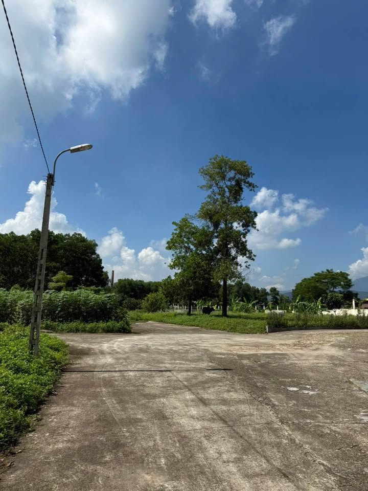 Đất nền Thịnh Đức, Thái Nguyên 150m² giá 700 triệu - Đầu tư sinh lời hấp dẫn!