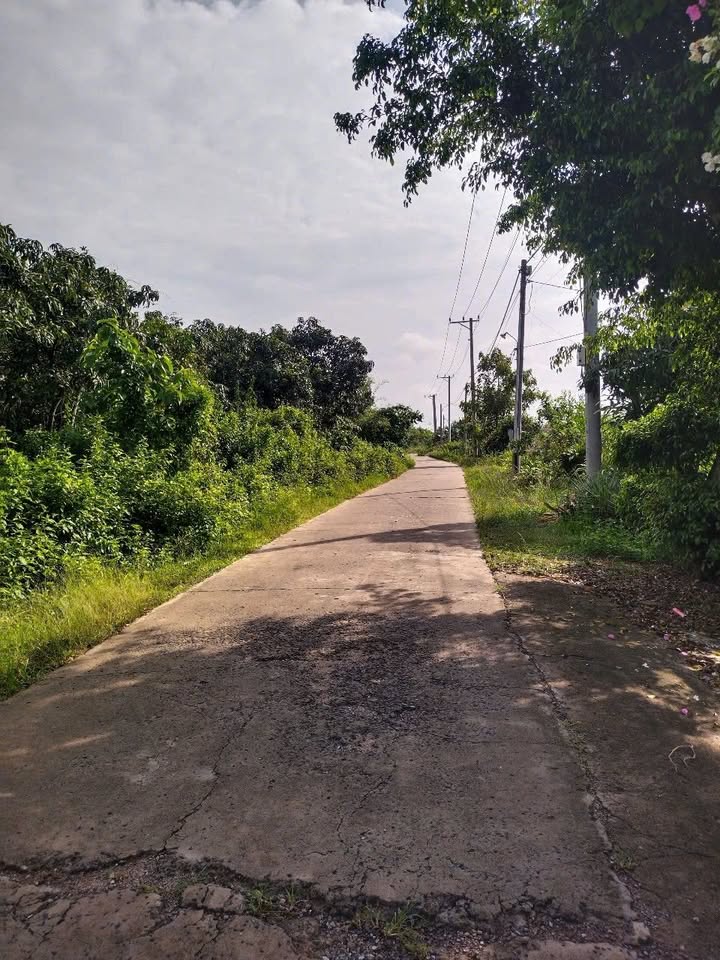 Đất nền Xuân Bắc 50.000m² giá 6.84 tỷ - Đầu tư sinh lời hấp dẫn!