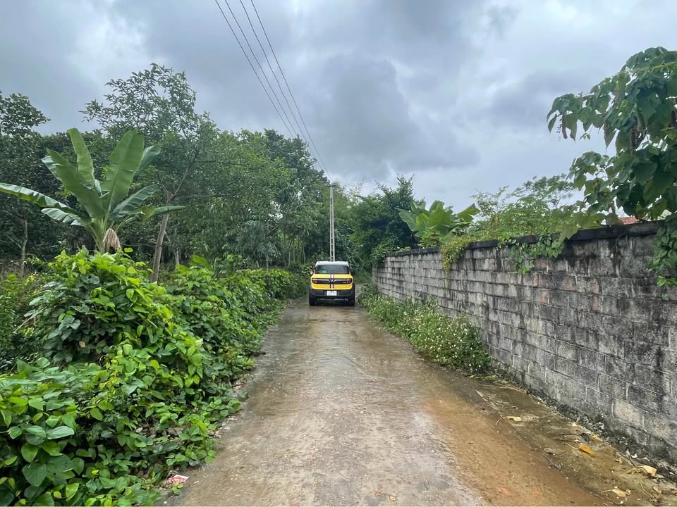 Đất nền phường Linh Sơn, Đồng Hỷ 100m² giá 400 triệu - Đầu tư tiềm năng!