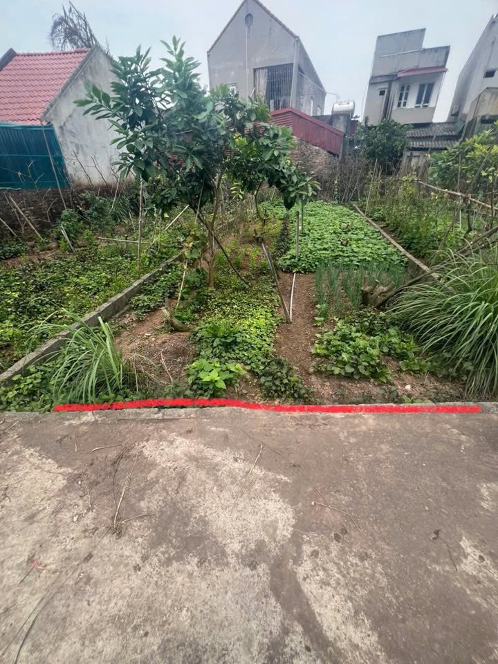 Đất thổ cư Đông Tảo 77,6m² giá thỏa thuận - Sẵn sàng giao dịch!