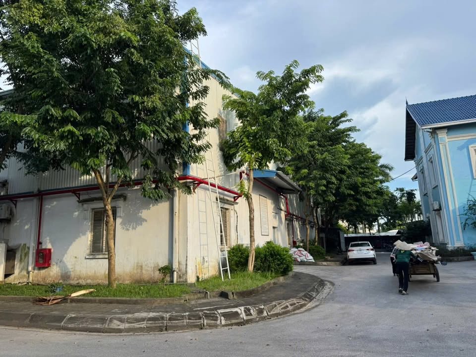 Cho thuê nhà xưởng tại Tân Quang, Văn Lâm, Hưng Yên 2200m² - Vị trí chiến lược, giá tốt!