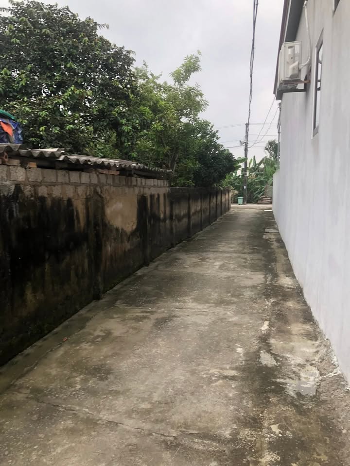 Đất thổ cư Quảng Đông 183m² giá 1.469 tỷ - Sát trường cấp 3 Nguyễn Huệ!