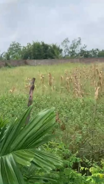 Đất nền xã Hồng Quang, Ý Yên, Nam Định 400m² - Sổ đỏ chính chủ, giá 6 tỷ!