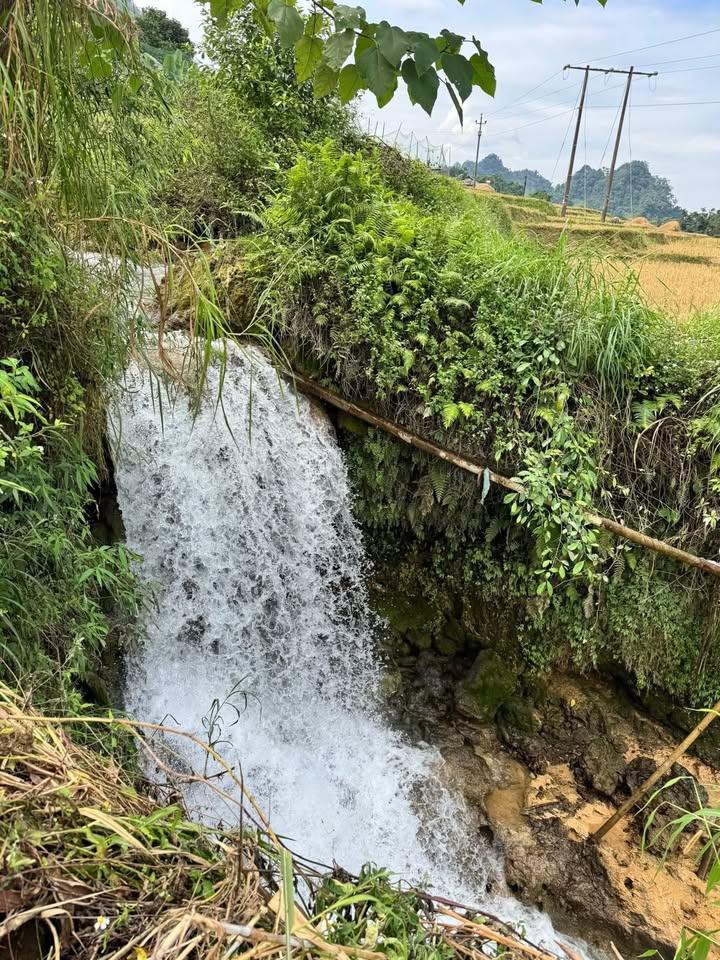 Đất nghỉ dưỡng Mộc Châu 1500m² giá chỉ 300 triệu - Tiềm năng phát triển lớn!