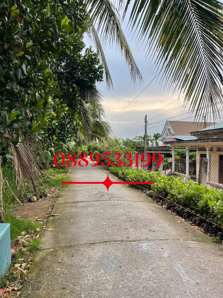 Đất mặt tiền đường Đan 1207m² tại Xã Sơn Định - Giá chỉ 1.8 tỷ, thương lượng tốt!