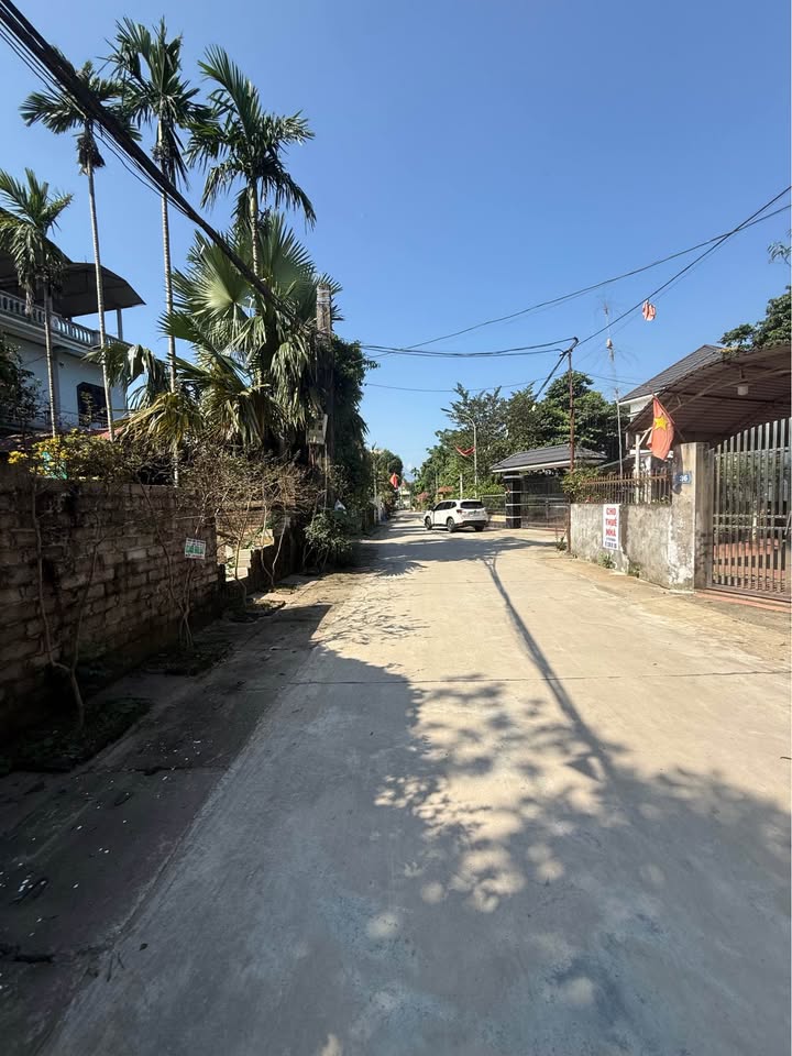 Đất nền Cổ Đông 1068m² giá thỏa thuận - Không gian xanh lý tưởng!