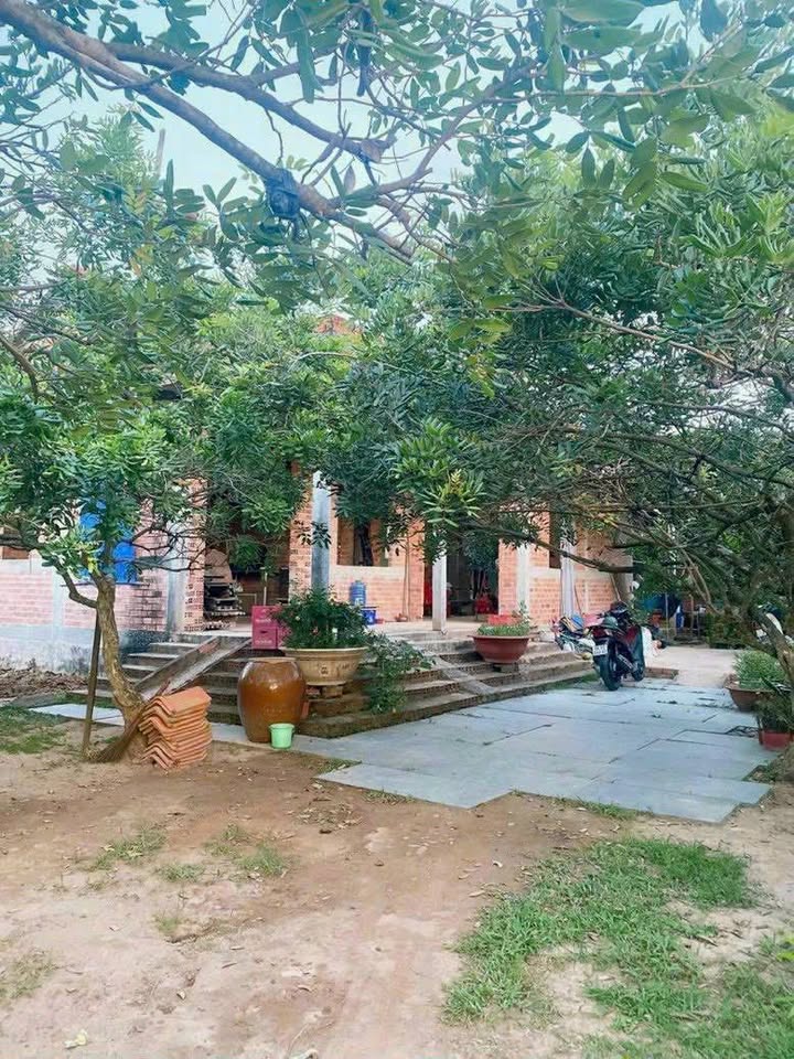 Đất vườn dừa & bưởi 11.554m² tại Giao Long, Bến Tre - Đầu tư sinh lời ngay!