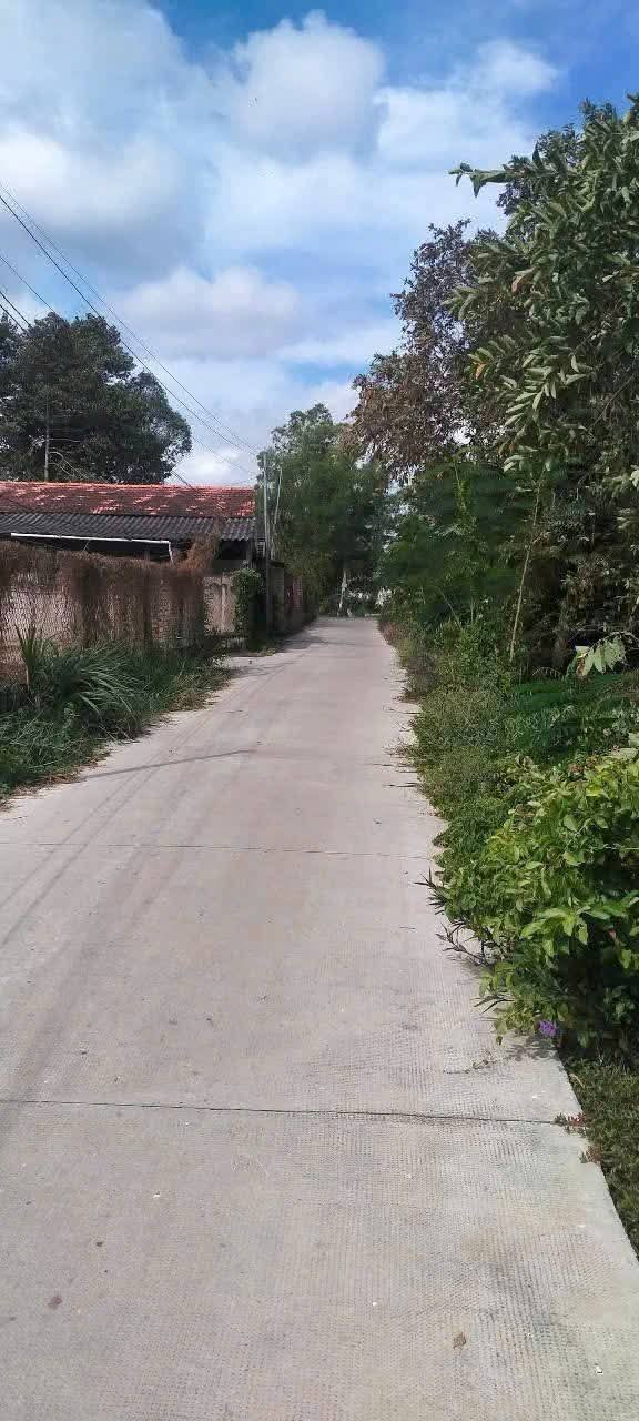 Đất nền An Bình Tây, Ba Tri, Bến Tre 726.4m² - Vị trí đẹp, giá tốt