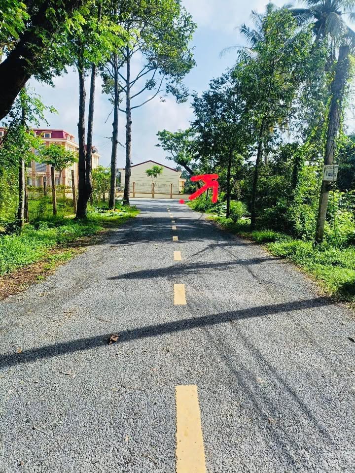 Đất mặt tiền đường xe tải 1245m² tại Phú Hưng, Bến Tre - Giá chỉ 2.8 tỷ!