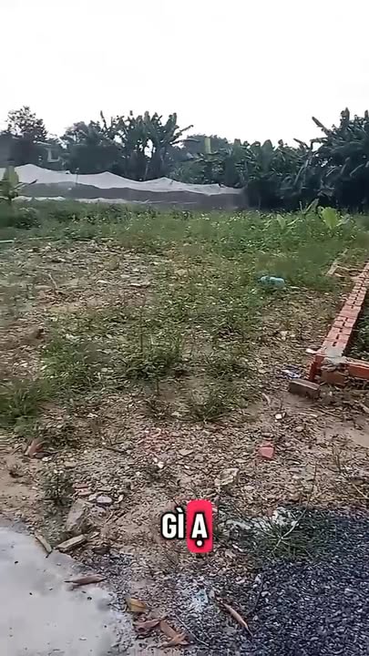 Đất nền Đông Thạnh Hóc Môn 150m² giá 4,45 tỷ - Nở hậu đón tài lộc!