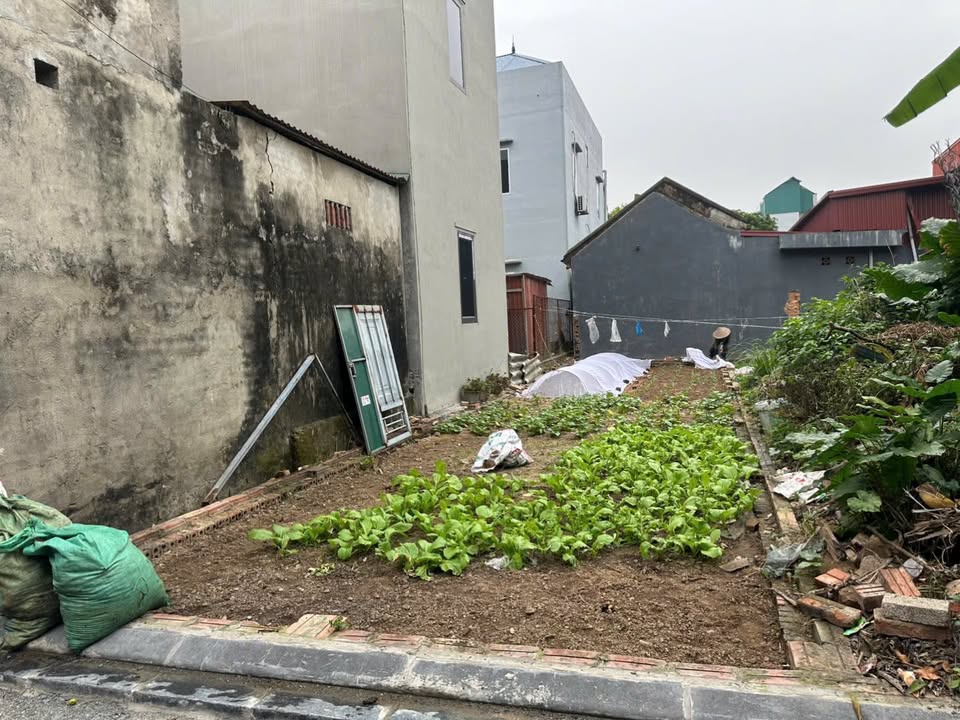 Đất nền Đường Nhạn, Đông Anh 63,4m² giá chỉ 3,6 tỷ - Tiềm năng đầu tư lớn!