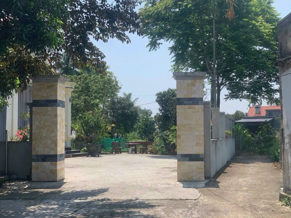 Đất nền Quang Hưng, An Lão 86.9m² giá chỉ 300 triệu - Cơ hội đầu tư tuyệt vời!