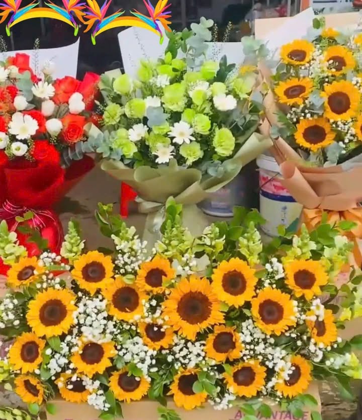 Đất nền Nghĩa Bình 216m² giá 600 triệu - Cơ hội đầu tư tuyệt vời!