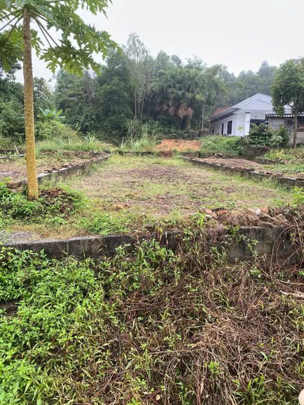 Đất nền Phú Xá 96m² chỉ 1 tỷ - Đầu tư sinh lời ngay!