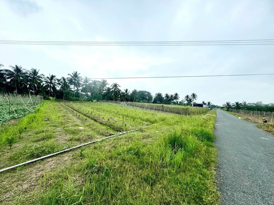 Đất nền Cần Thơ 270m² giá 240 triệu - Sổ hồng chính chủ, đường nhựa 10 tấn!