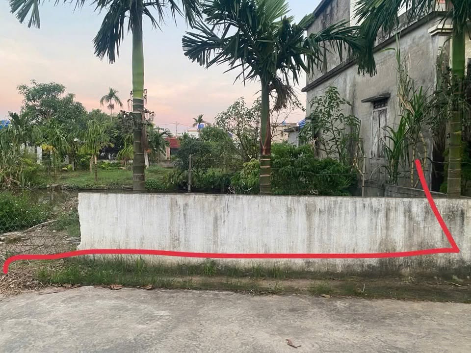 Đất nền Bạch Long Giao Thủy 100m² giá 2 tỷ - Đầu tư sinh lời tiềm năng!