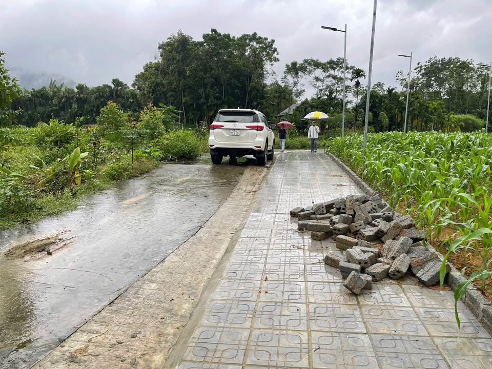 Đất Vô Tranh Hạ Hoà 221.4m² giá chỉ từ 200 triệu - Đầu tư sinh lợi ngay!