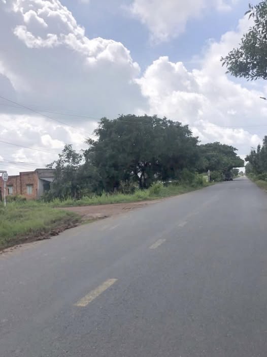 Đất nền mặt tiền đường Sơn Đình, xã Phan, 1200m² - Cơ hội đầu tư hiếm có!