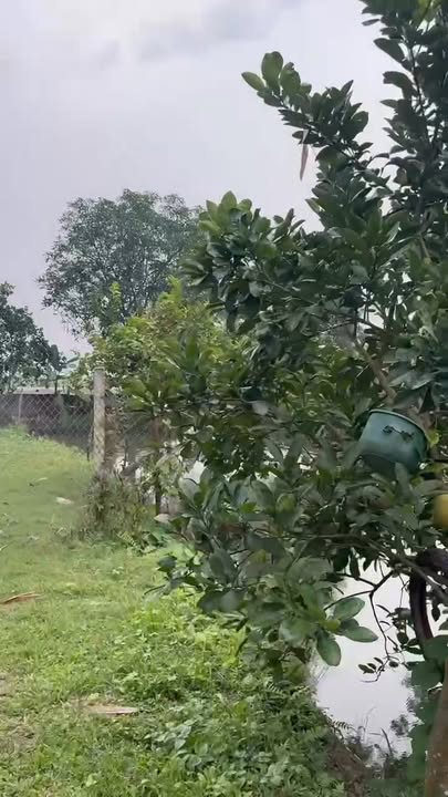 Đất Xóm Bãi Xã Lương Nha 2130m² - View Hồ Tuyệt Đẹp, Giá Thoả Thuận!