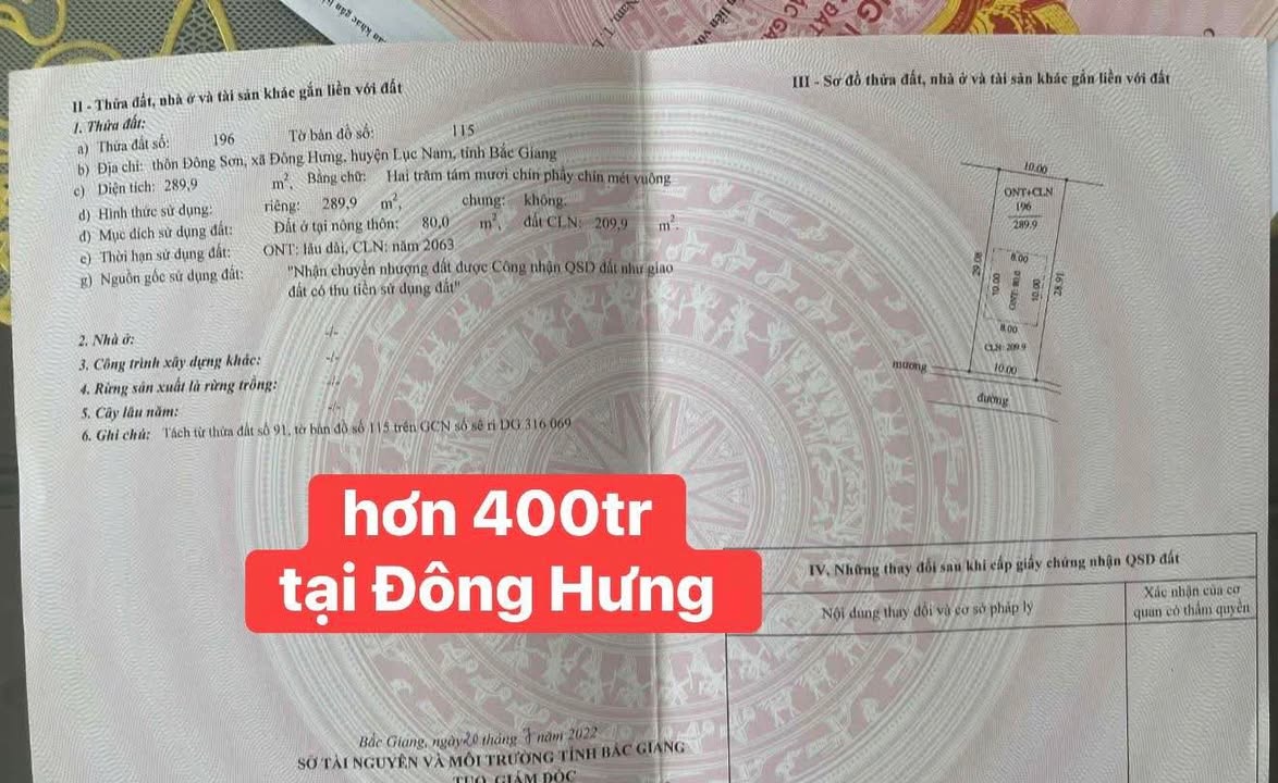 Đất nền Lục Nam 300m² - Mặt tiền 10m, giá đầu tư hợp lý!