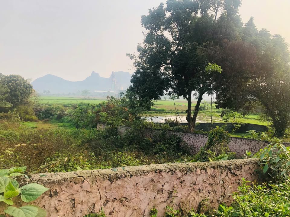 Đất nghỉ dưỡng Liên Sơn, Hòa Bình 3000m² - Đầu tư sinh lời lớn!