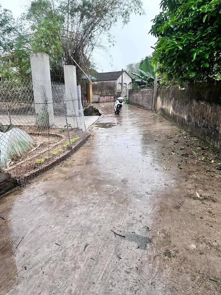 Đất nền Phúc Sơn Tân Yên 165m² giá chỉ 500 triệu - Cơ hội đầu tư tuyệt vời!