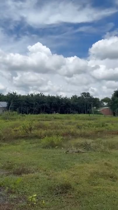 Đất nền Lộc Khánh Lộc Ninh 300m² giá chỉ 100 triệu - Cơ hội đầu tư hấp dẫn!