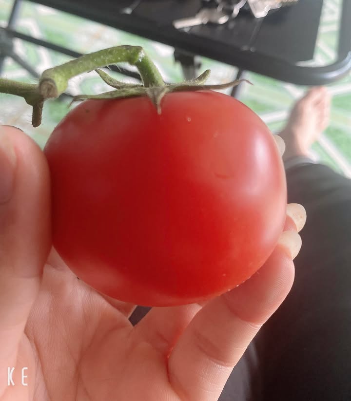 Đất nền Cư Huê, Ea Kar, Đắk Lắk 180m² - Giá chỉ 300 triệu, cơ hội đầu tư tốt!