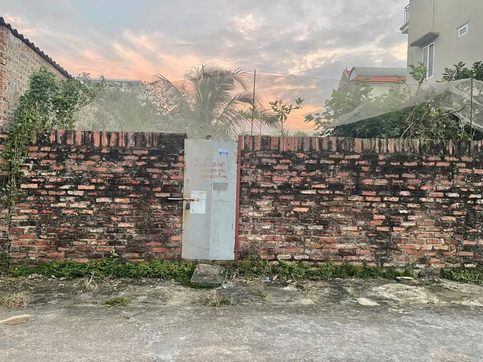 Lô đất vàng Quang Tiến, Sóc Sơn 150m² - Đầu tư lý tưởng với 2 mặt ngõ rộng!