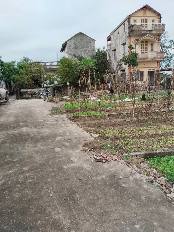 Đất nền Vân Từ Thường Tín 80m² giá 1 tỷ - Sở hữu ngay vị trí tiềm năng!