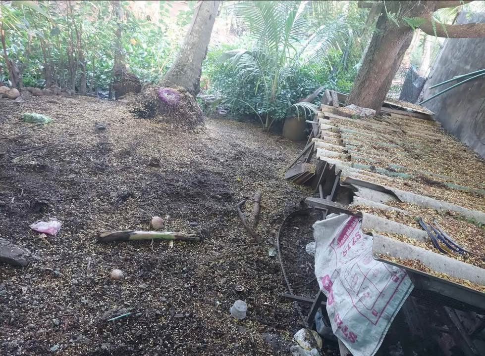 Nhà cấp 4 mặt tiền đường Cù Khắc Kiệm, 409m² giá 3.5 tỷ - Cách chợ Khánh Hậu chỉ 200m!